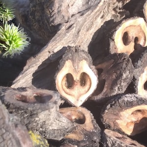 May include: Close-up of several halved walnuts, showcasing their natural, heart-shaped interiors. The dark brown shells contrast with the lighter, textured insides. The arrangement is set against a backdrop of weathered wood, with a touch of greenery.