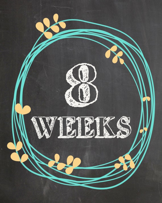 Weekly Pregnancy Countdown Photo Prop Etsy