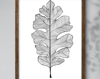 Può includere: Stampa artistica botanica in bianco e nero di una grande foglia, incorniciata in una cornice di legno marrone. La foglia presenta un'arte lineare dettagliata, che mostra le venature e i bordi della foglia su uno sfondo bianco. L'opera è in stile minimalista.