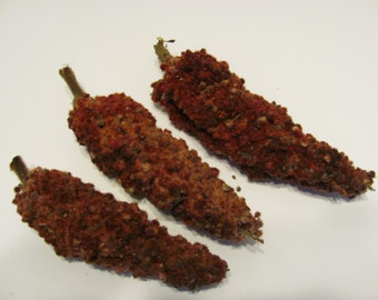 3 Naturally Dried Staghorn SUMAC - Pod - Drupe - Head - Cluster - Natural Dye