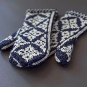 May include: A pair of blue and white knitted mittens with a geometric pattern.