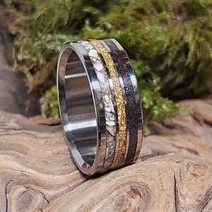 Meteorite, 24 Karat Gold, Mosasaurs Dino Tooth in Titanium. Jewelry, Any Occasion. Men's Wedding Bands, Wedding Rings