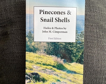 Pinecones & Snail Shells