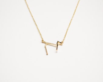 Canis Major, the Greater Dog Necklace