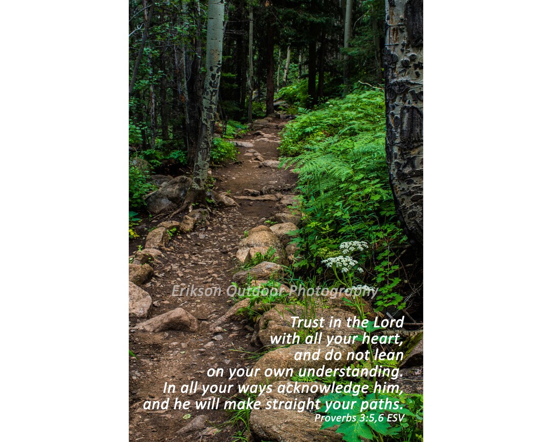 Proverbs 3:5,6 | Scripture Print, Greeting/note Card, Matted Print ...