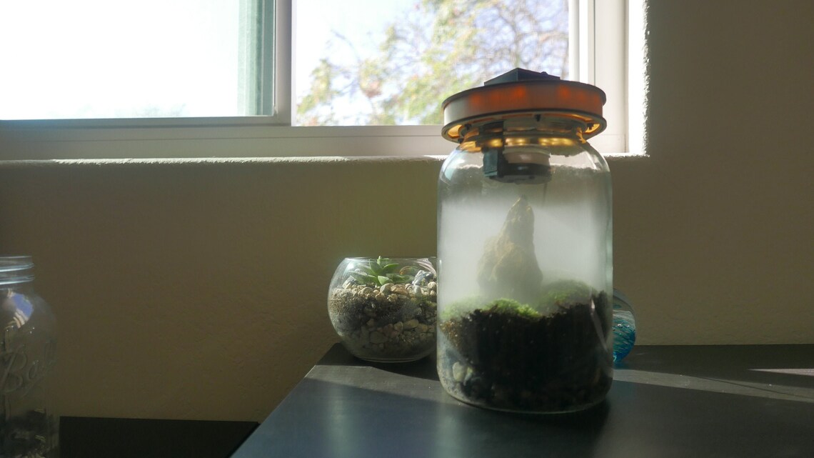 Terra Fogger Terrarium Kit Etsy