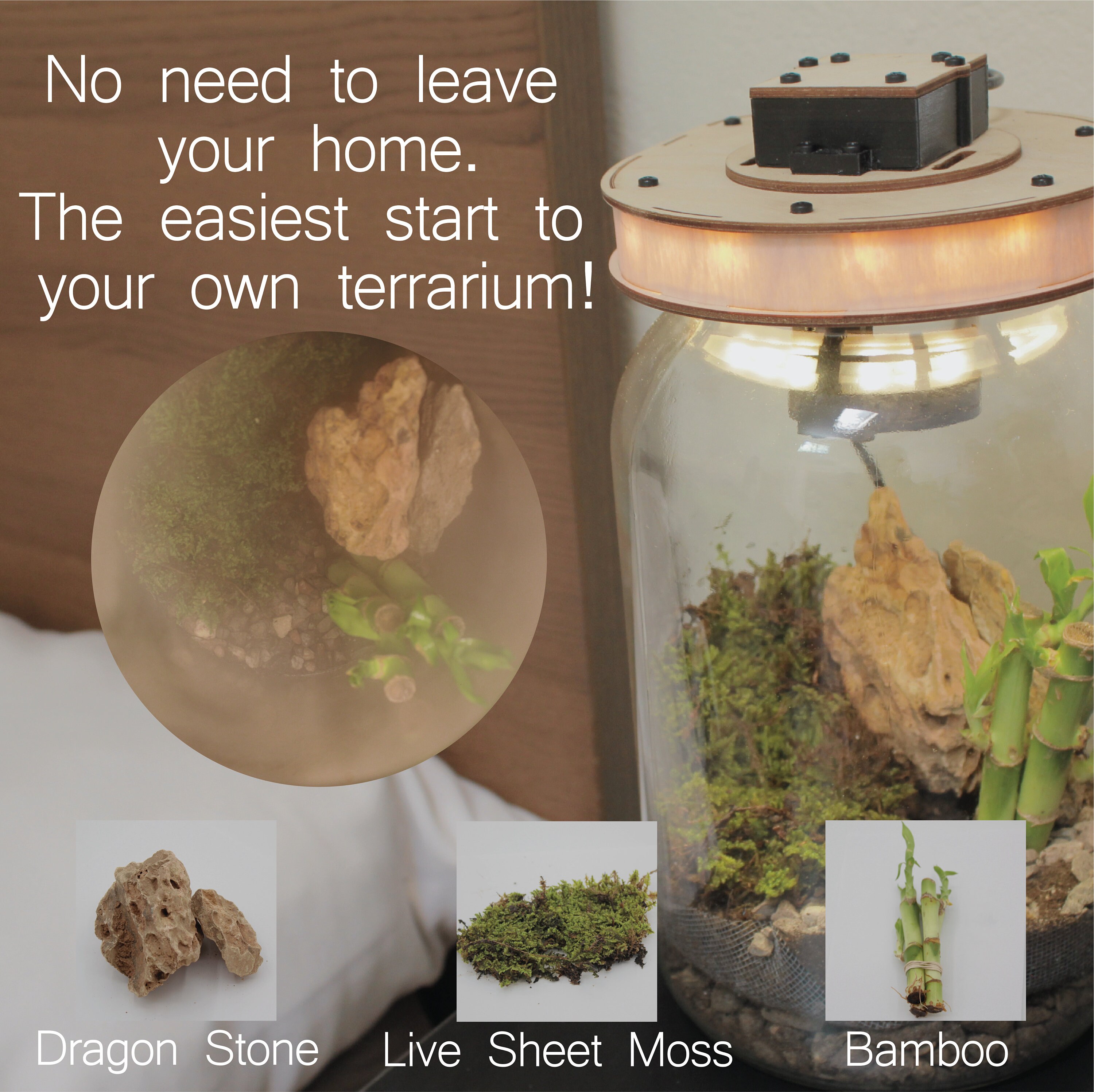 Terra Fogger Terrarium Kit Etsy