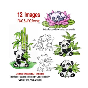 Puede incluir: Una colección de ilustraciones de osos panda en formato PNG y JPG. Las imágenes incluyen un panda en una flor de loto, pandas con bambú y versiones en blanco y negro. El texto en la imagen dice "12 Images" y "Conie Fong Art & Design."
