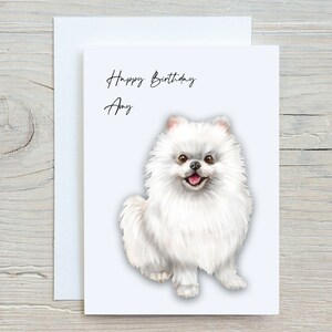 May include: A white birthday card with the text "Happy Birthday Amy" and a white fluffy Pomeranian dog illustration.