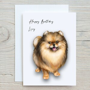 May include: A birthday card featuring a cute illustration of a brown and white Pomeranian dog with the text "Happy Birthday Lucy" on the front.