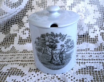 Vintage Copeland Spode Pale Blue Preserve / Jam Pot