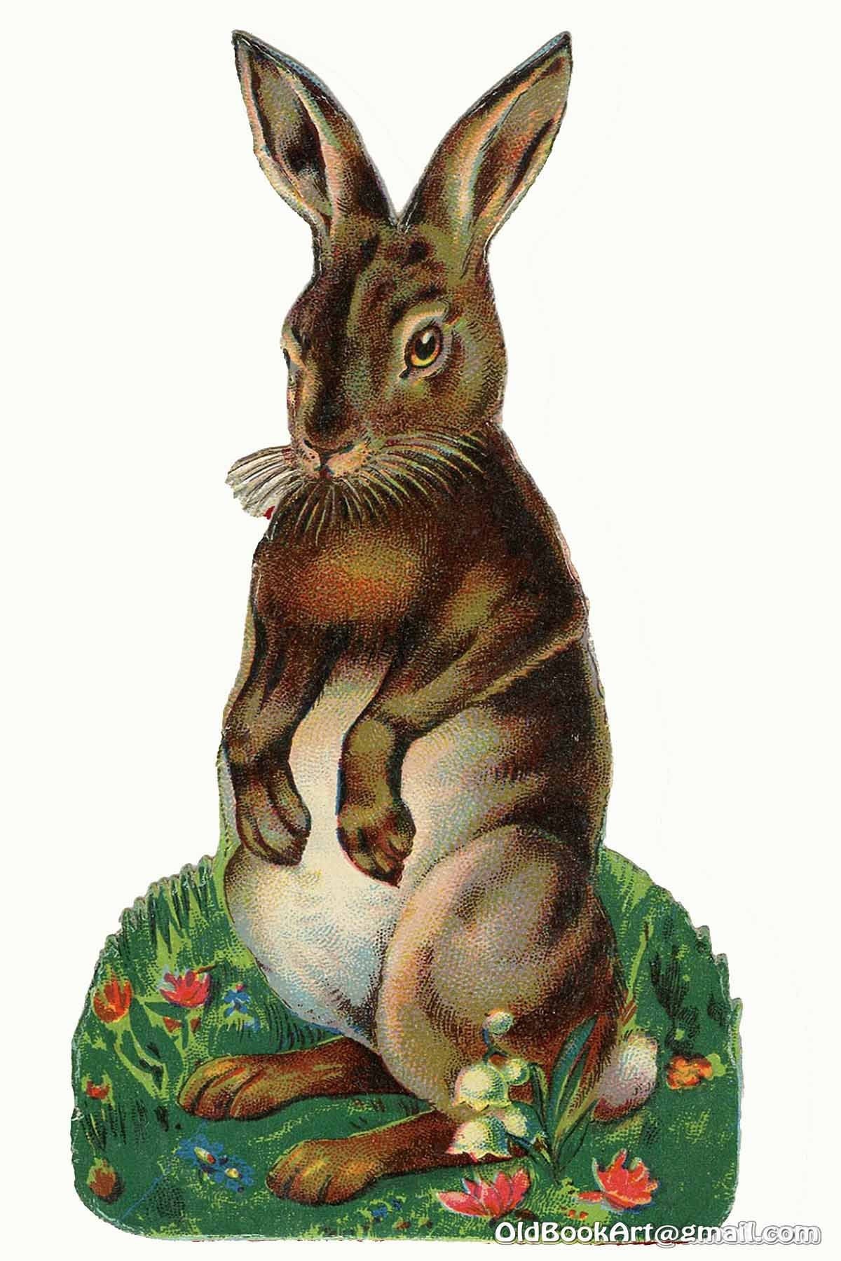 Easter Bunny, Family, Clip-art, Vintage, Holiday, Old Book Art, Fine