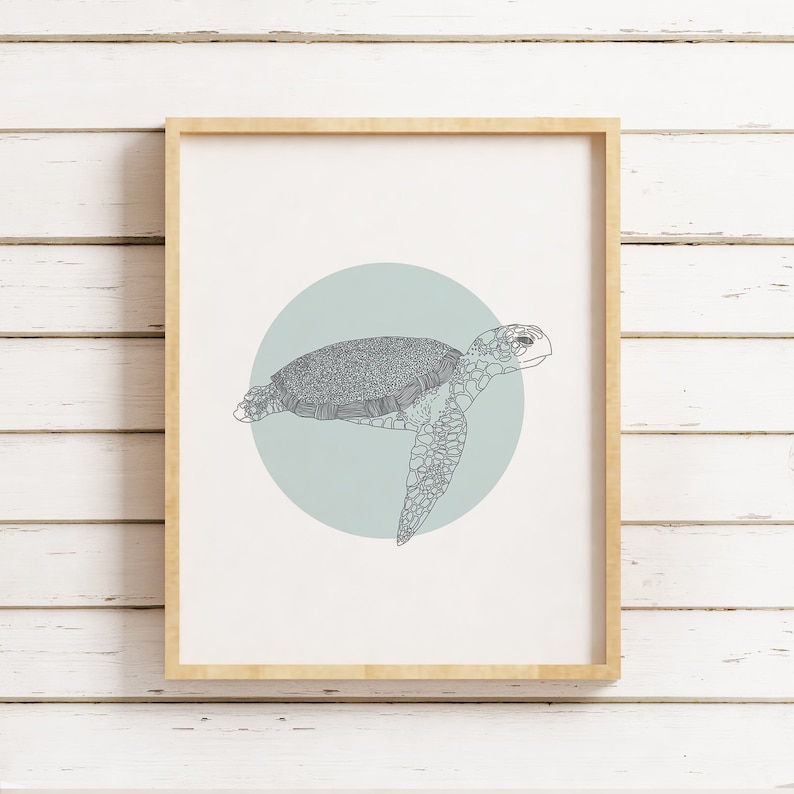 May include: A framed print of a line drawing of a sea turtle swimming in a light blue circle. The turtle is gray and has a detailed shell.