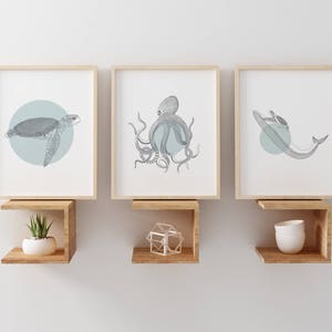 May include: Three framed illustrations of sea creatures on a white wall. The illustrations are of a turtle, an octopus, and a whale. Each illustration is on a light blue background with a white circle around the creature.