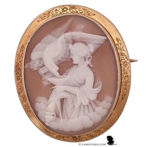 Può includere: Spilla cammeo ovale con cornice dorata. Il cammeo presenta un rilievo scolpito di una donna con un'aquila, su sfondo marrone chiaro. La cornice ha un ornato motivo floreale.