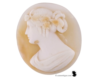 Camafeo antiguo de concha suelta de perfil izquierdo de dama clásica. ENVÍO GRATUITO A TODO EL MUNDO.