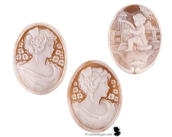 Choice of 3 contemporary loose shell cameos made in Italy. FREE WORLDWIDE SHIPPING.