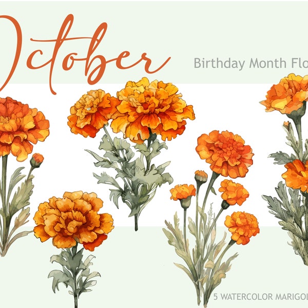 October Birthday Month Flower Bundle, Watercolor Flowers PNG Bundle, Marigold Floral Sublimation File, Orange Peach Apricot Fall Wedding