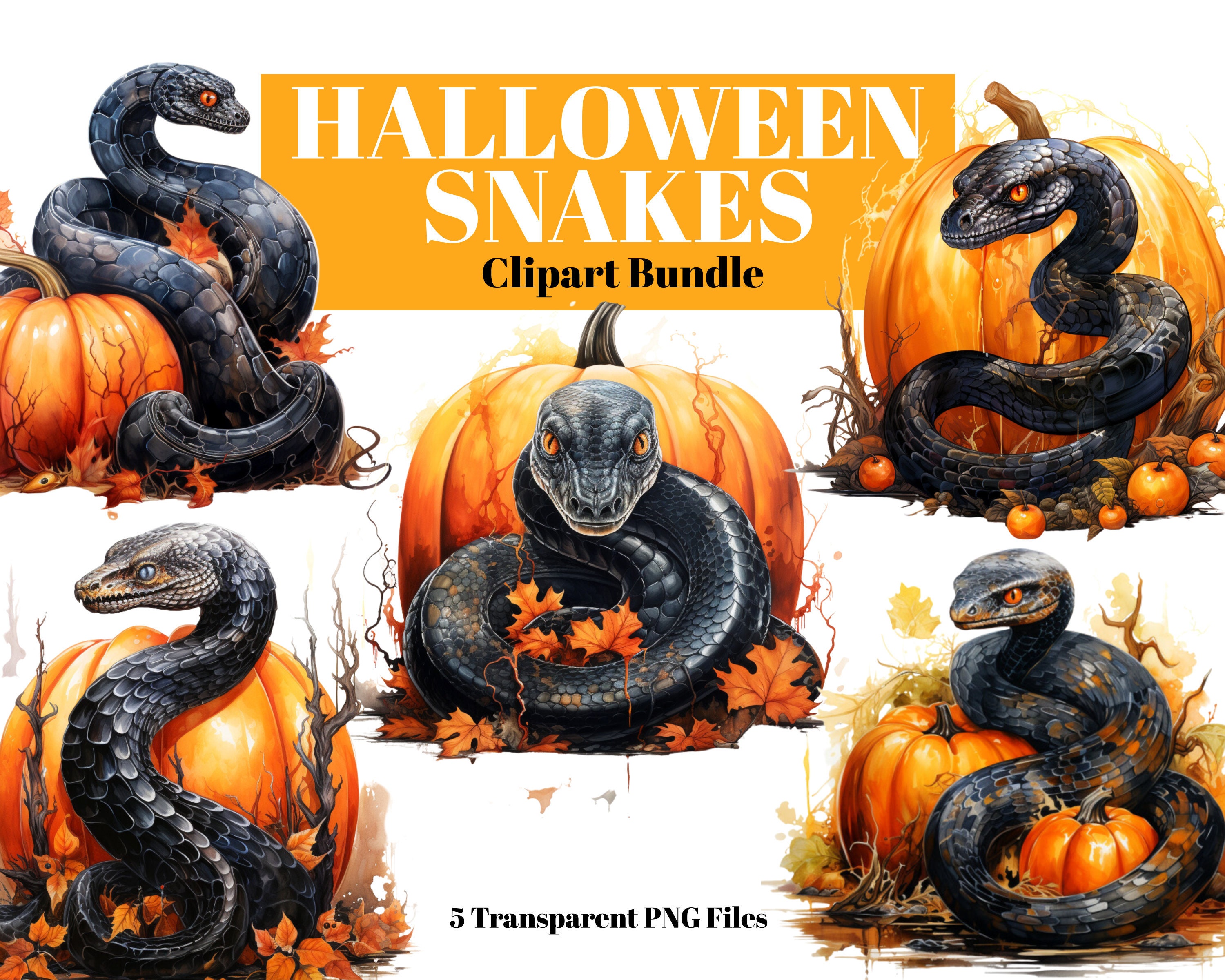 2 black snake selling Halloween pumpkins