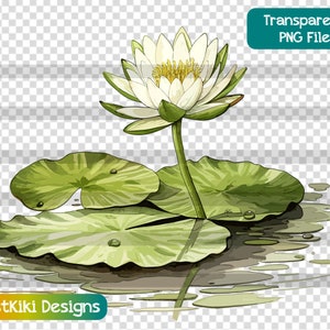 Lily Pad clipart, natuurlijke vijver PNG, rustige bloemen sublimatie ontwerpen, kalmerende sereen groen, digitale download, commercieel gebruik