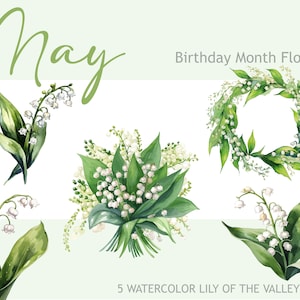 Mei Verjaardag Maand Bloemen PNGs, Aquarel Bloemen Bundel, Lily of the Valley Floral Clipart, Sublimation File, Premade Spring Clip Art