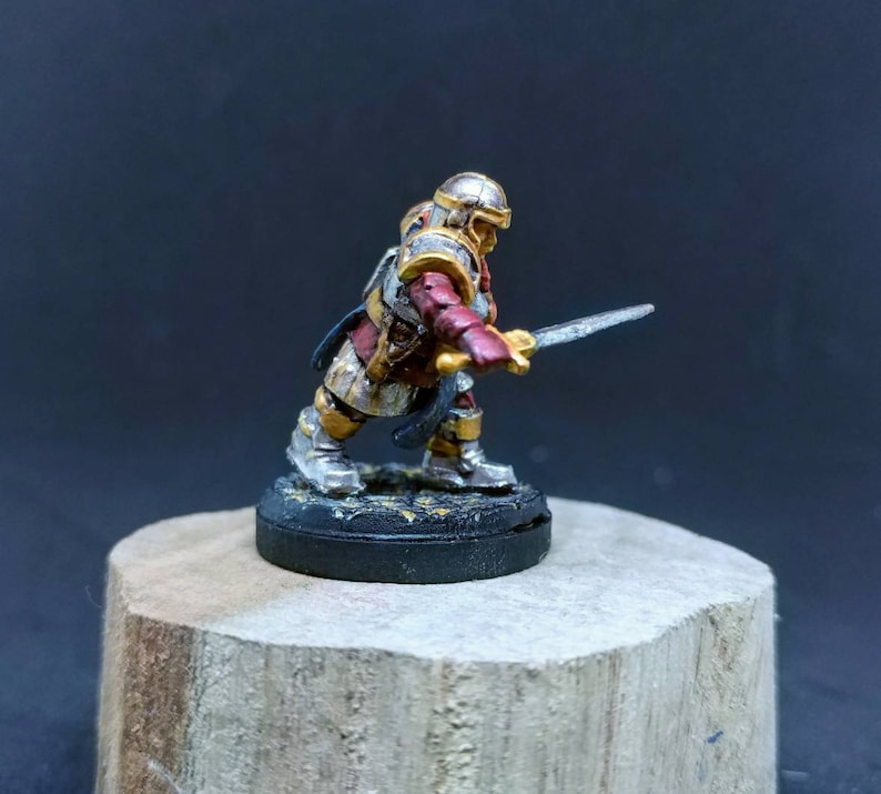Custom Painting Service for a Dwarf Female 28mm WizKids Miniature Dungeons and Dragons Miniature