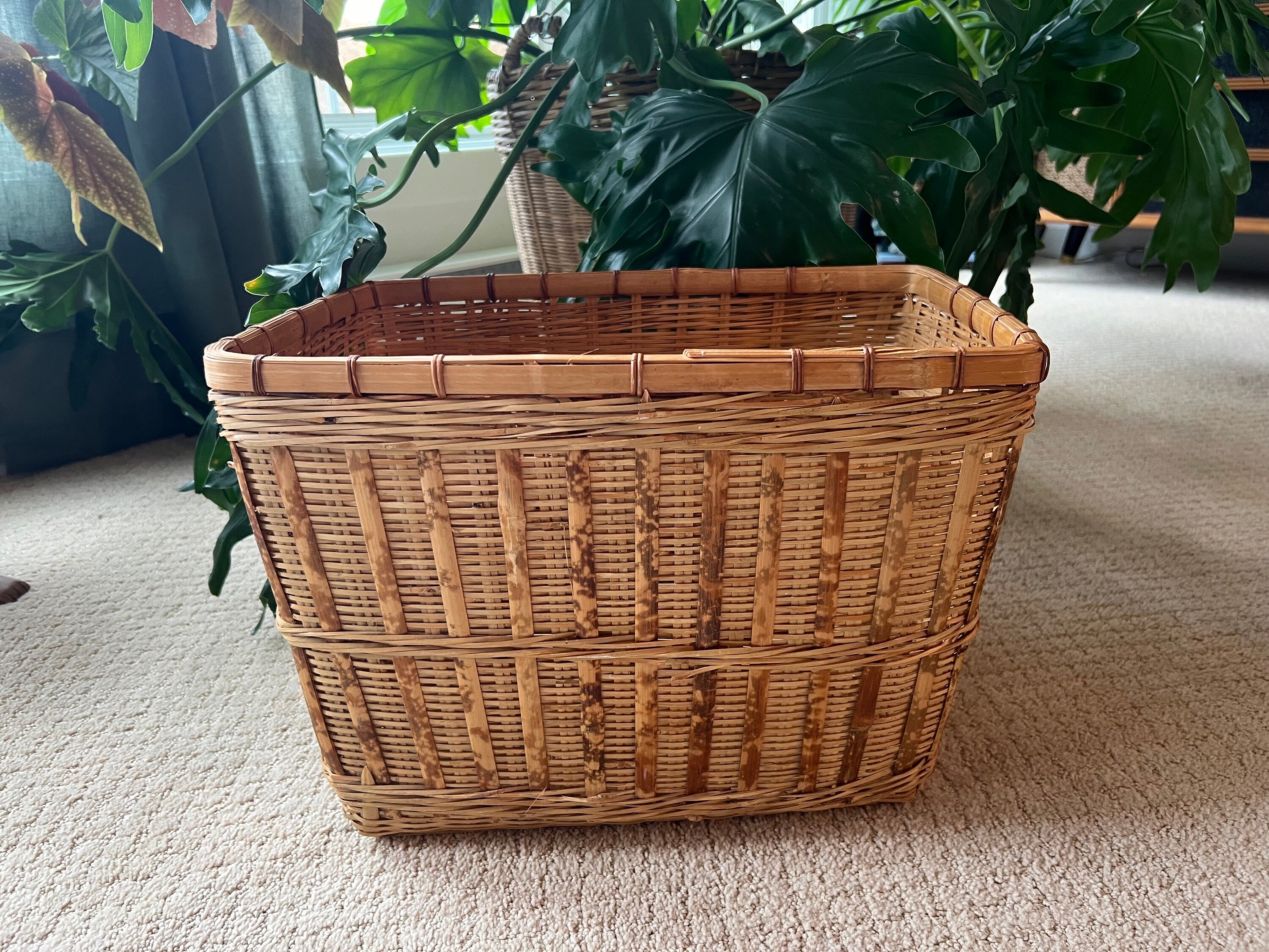 Large Rattan Planter 