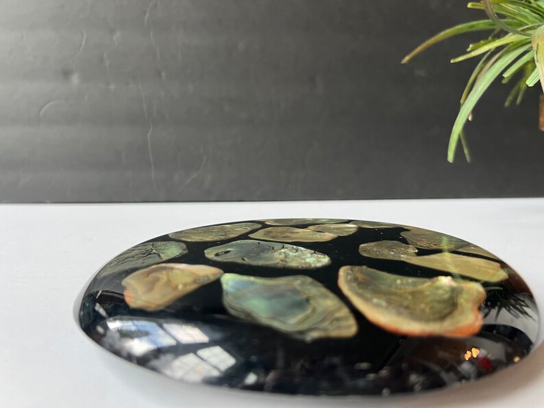 Shell Trivet Hot Plate Lucite Resin Abalone Sea Shell Design Vintage ...