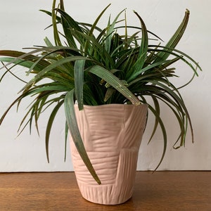 May include: A pink ceramic planter with a textured surface holds a green leafy plant with long, thin leaves.