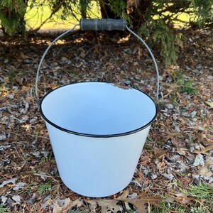 May include: A white enamel bucket with a black rim and a metal handle. The handle has a wooden grip. The bucket is sitting on a bed of leaves and twigs, with a backdrop of green foliage.