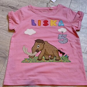 May include: Pink short-sleeved t-shirt with an embroidered woolly mammoth design. The name "LISKA" is spelled out in colorful letters above the mammoth, with the number "5" below a cloud. A tag is attached to the shirt.