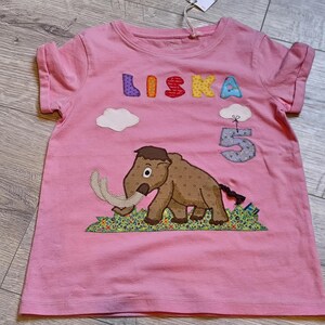 May include: Pink t-shirt with the name "LISKA" in colorful letters and a cartoon mammoth applique. The number "5" is also appliqued on the shirt, along with two white cloud appliques.