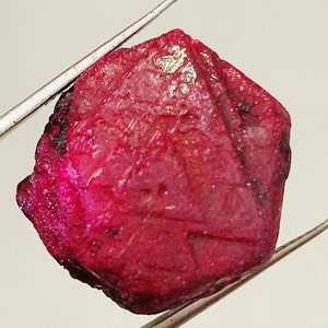 Peut inclure: Une pierre précieuse de rubis brute et non taillée, tenue par une pince. Le rubis est d'un rouge profond et vibrant avec des inclusions plus foncées et une forme irrégulière. La surface a un aspect texturé.