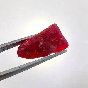 May include: A raw, unpolished ruby gemstone with a deep red color and irregular, textured surface. The stone is held by metal tweezers, displaying natural inclusions and a translucent quality when backlit, highlighting its vibrant crimson hue.
