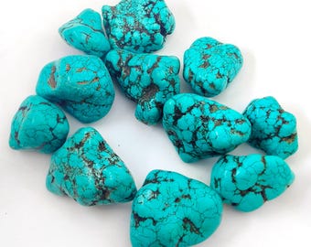 May include: A collection of turquoise gemstones with a vibrant blue-green hue and dark brown veining. The stones are irregularly shaped and vary in size, scattered on a white surface. These natural stones are ideal for jewelry making or decorative purposes.