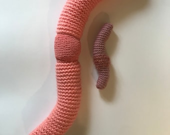 Mega worm
