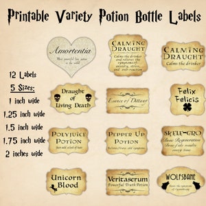 5 Different Sized Potion Labels, Potion Labels Digital, Potion Labels Printable, Magic Potion Labels, Potion Bottle Labels, Digital Download
