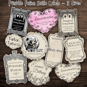 Big Potion Labels, Wizard Potion Labels, Potion Labels Printable, Magic Potion Labels, Wizard Potion Bottle Labels, Digital Download