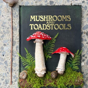 The Ultimate Mushroom and Toadstool Book and Bookmark Polymer Clay Muscaria Amanita Cottagecore