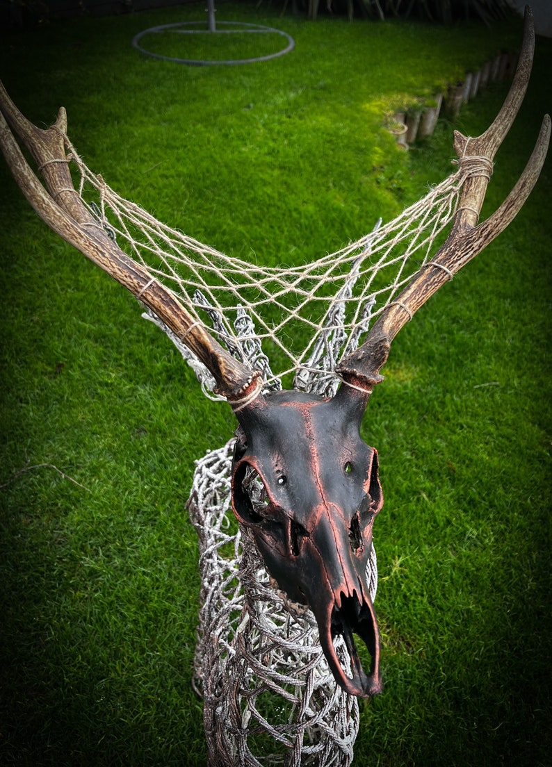 Black and Copper Deer Skull Dream Catcher Taxidermy Bone Skull Etsy