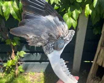 Incredibly Healing Spiritual Smudge Wand Ceremonial Wing Deer Jaw Bone and Labradorite Quartz Crystal Wall Decor Display