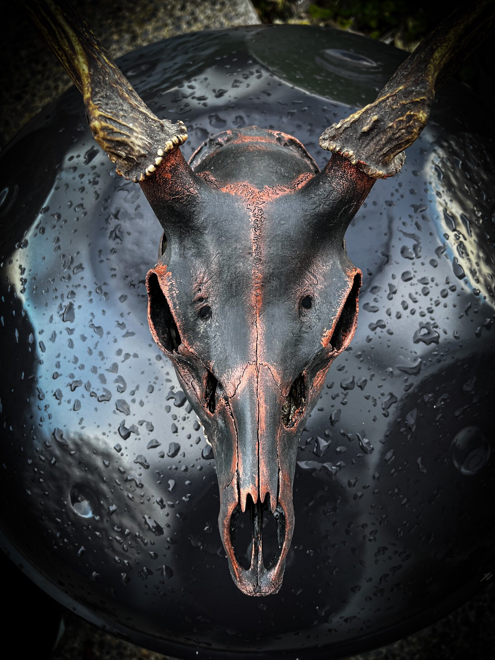 Black and Copper Deer Skull Dream Catcher Taxidermy Bone Skull Etsy