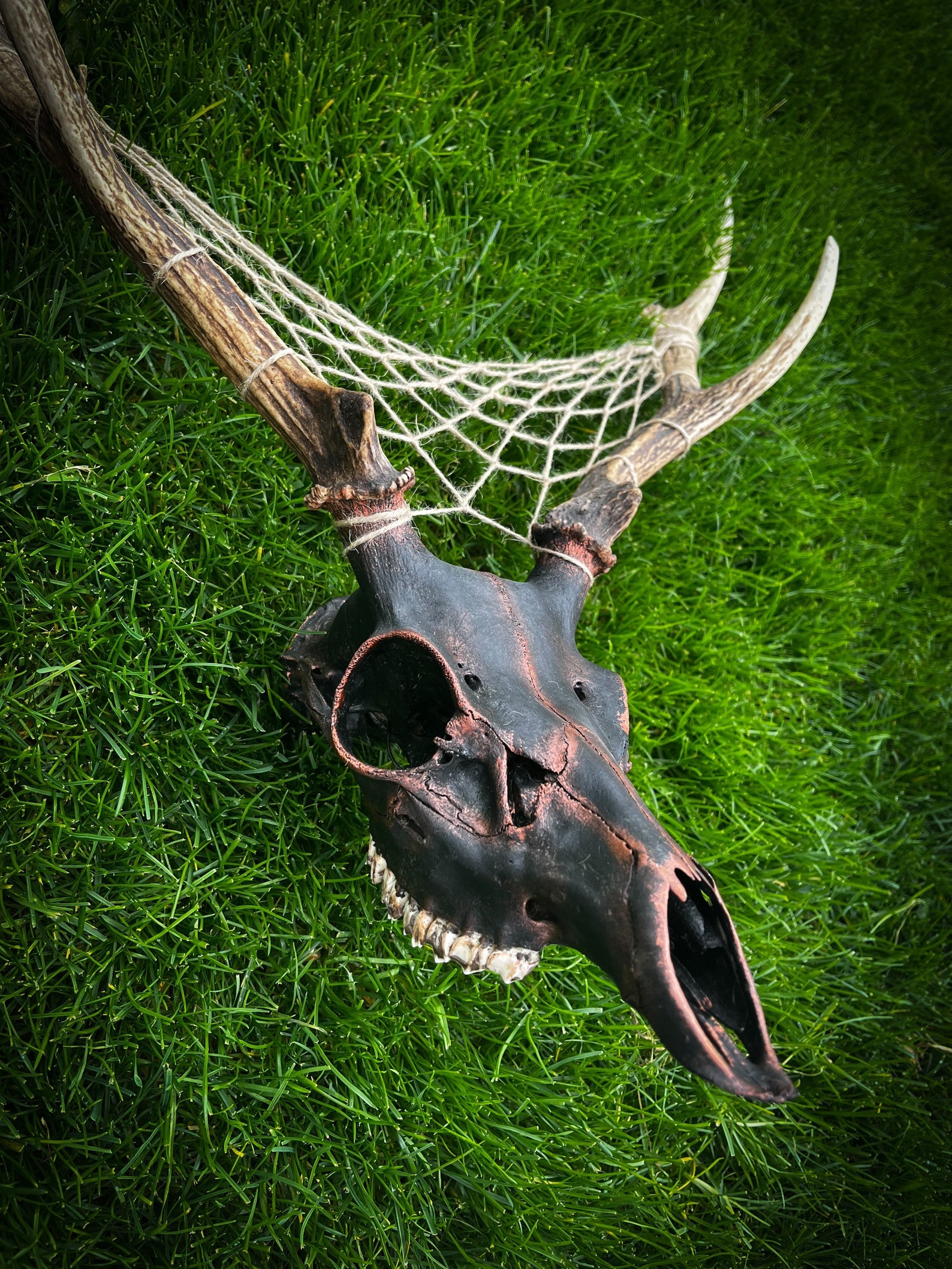 Black and Copper Deer Skull Dream Catcher Taxidermy Bone Skull Etsy