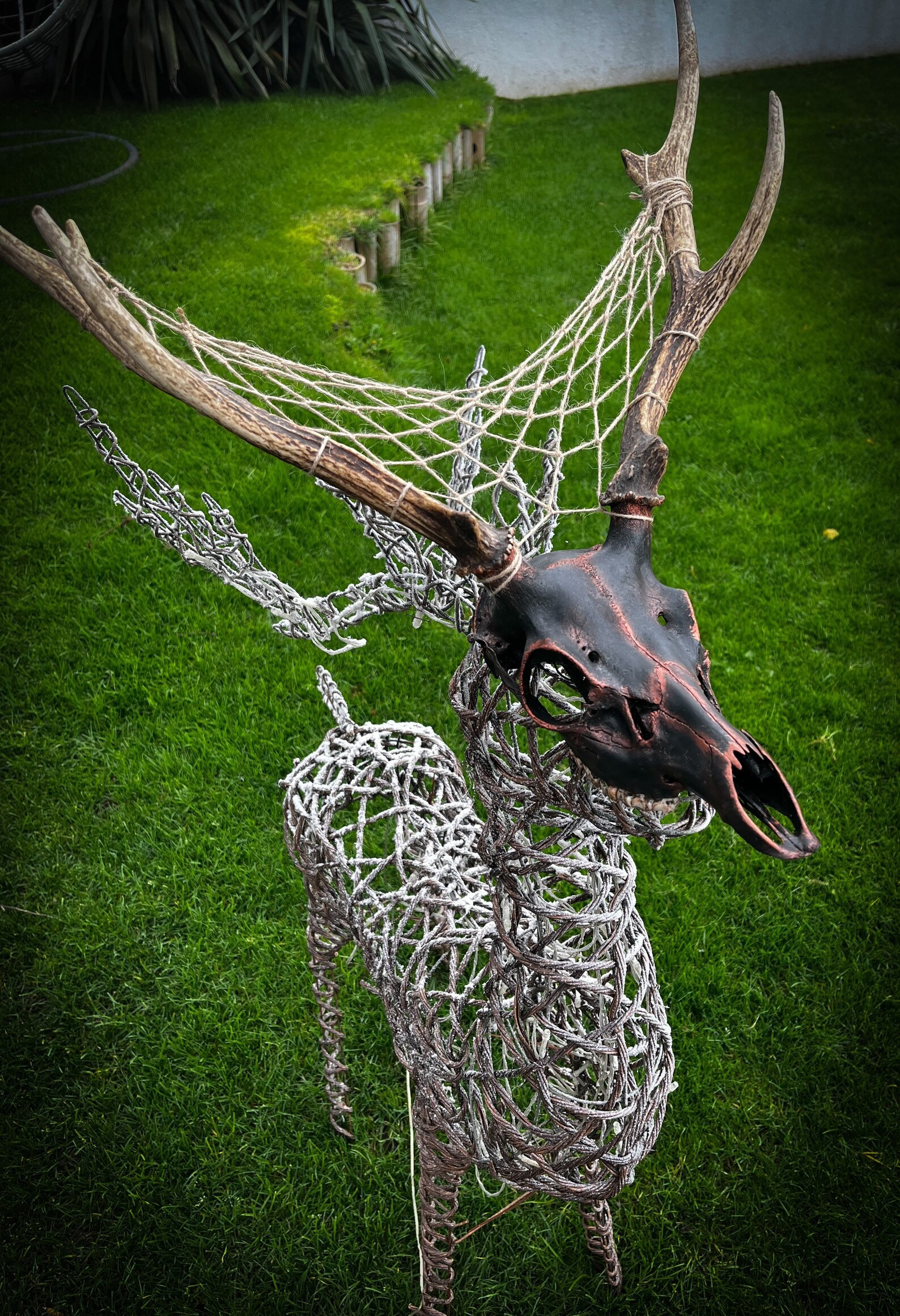 Black and Copper Deer Skull Dream Catcher Taxidermy Bone Skull Etsy