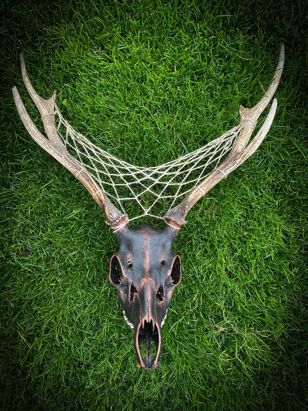 Black and Copper Deer Skull Dream Catcher Taxidermy Bone Skull Etsy