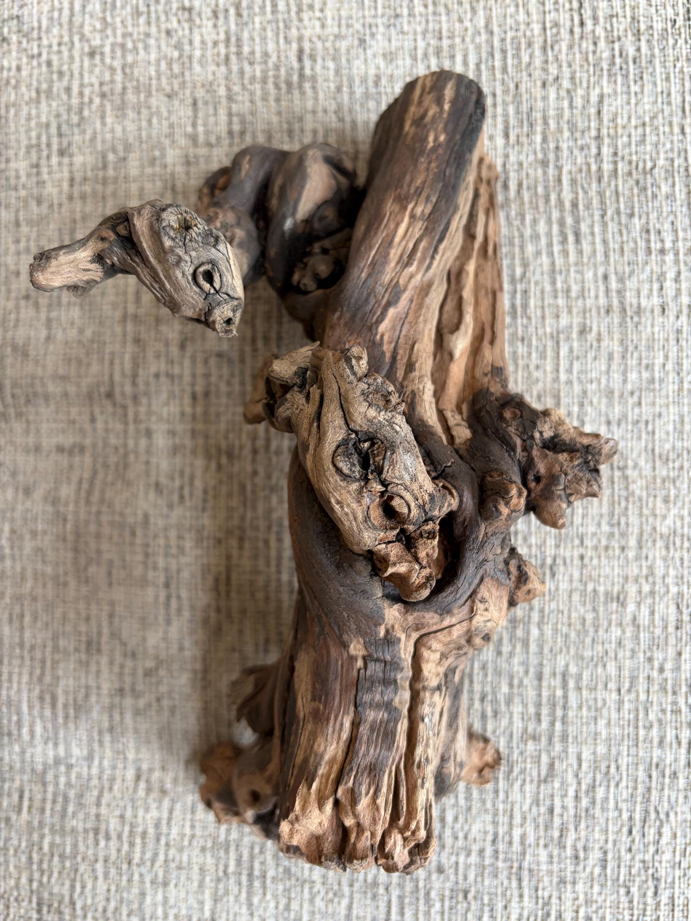 Natural (067) Grapevine Driftwood for Terrarium, Aquarium, Reptile Decor