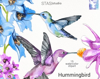 Hummihgbird Watercolor clipart Colibri ilustration Bird Wedding flowers Blue green hummingbird