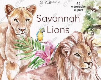 Lion Watercolor Clipart Lion family Savana Animals Cat flowers African friends Jungle animals liom pride