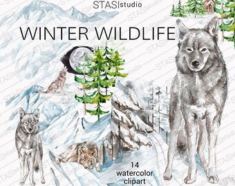 Winter Wildlife Watercolor clipart Wolf Snow Conifeer White Wolf Forest Woodland Clip Art Wolves Illustration outdoor landscape wild animals