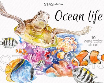 Watercolor Ocean clipart set Clownfish Nursery Illustration Nautical Clipart Sea Animals Underwater Ocean Fish Colorful